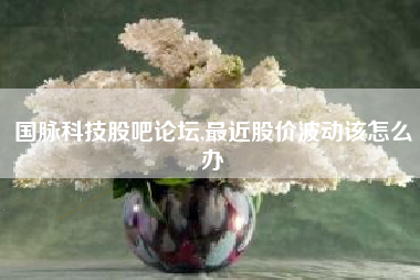 国脉科技股吧论坛,最近股价波动该怎么办