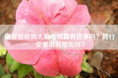 诺普信收购大麻公司真有这事吗？跨行业重组前景如何？