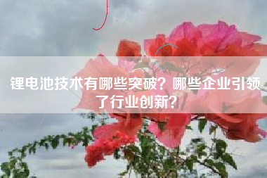 锂电池技术有哪些突破？哪些企业引领了行业创新？