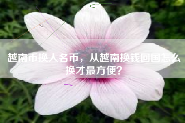 越南币换人名币，从越南换钱回国怎么换才最方便？