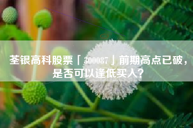 荃银高科股票「300087」前期高点已破，是否可以逢低买入？
