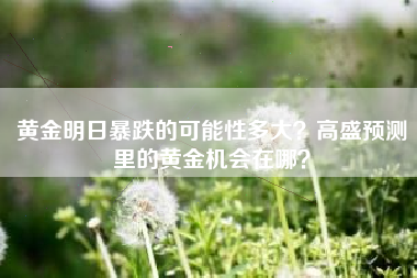 黄金明日暴跌的可能性多大？高盛预测里的黄金机会在哪？