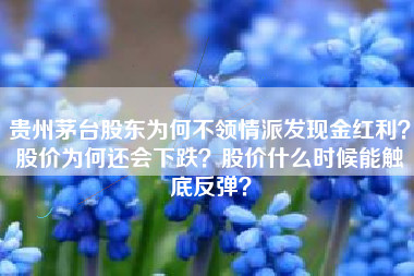 贵州茅台股东为何不领情派发现金红利？股价为何还会下跌？股价什么时候能触底反弹？
