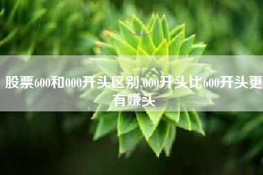 股票600和000开头区别,000开头比600开头更有赚头