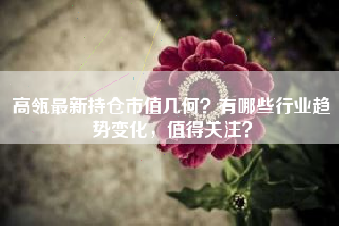 高瓴最新持仓市值几何？有哪些行业趋势变化，值得关注？