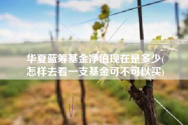 华夏蓝筹基金净值现在是多少(
怎样去看一支基金可不可以买)