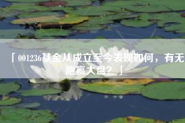 「001236基金从成立至今表现如何，有无跑赢大盘？」