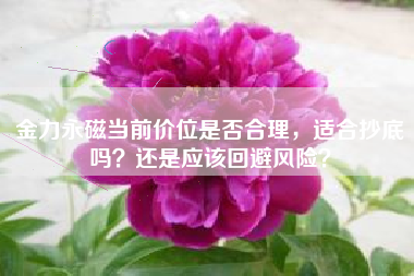 金力永磁当前价位是否合理，适合抄底吗？还是应该回避风险？