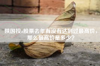 陕国投a股票去年有没有达到过最高价，那么最高价是多少？