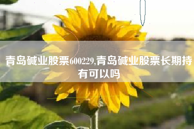 青岛碱业股票600229,青岛碱业股票长期持有可以吗