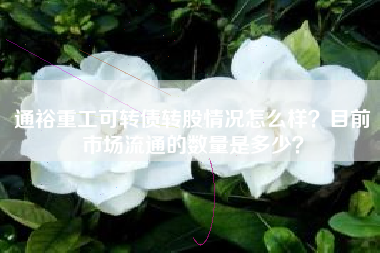 通裕重工可转债转股情况怎么样？目前市场流通的数量是多少？