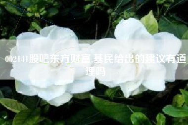 002141股吧东方财富,基民给出的建议有道理吗