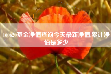160620基金净值查询今天最新净值,累计净值是多少