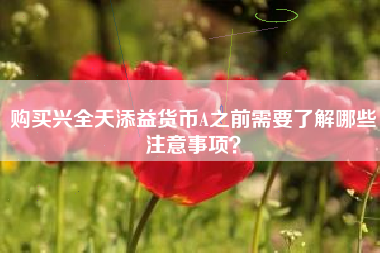 购买兴全天添益货币A之前需要了解哪些注意事项？