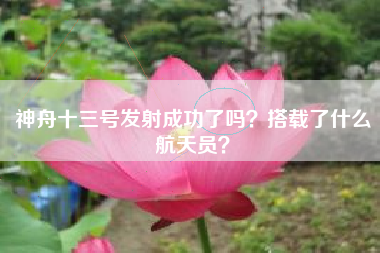神舟十三号发射成功了吗？搭载了什么航天员？