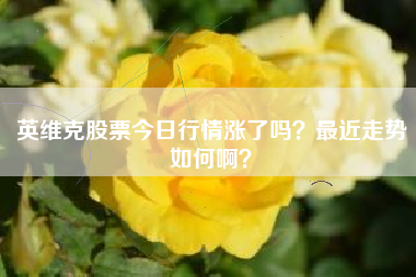 英维克股票今日行情涨了吗？最近走势如何啊？