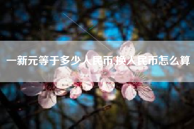 一新元等于多少人民币,换人民币怎么算