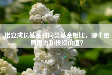 诺安成长基金和同类基金相比，哪个更具潜力和投资价值？