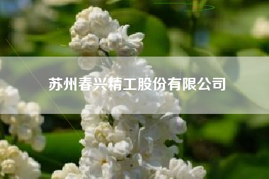苏州春兴精工股份有限公司