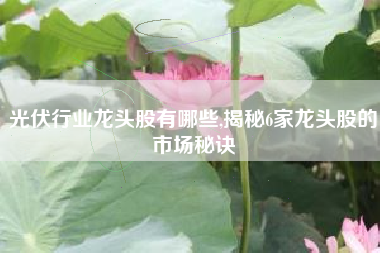 光伏行业龙头股有哪些,揭秘6家龙头股的市场秘诀