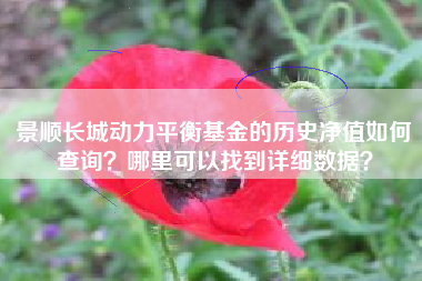 景顺长城动力平衡基金的历史净值如何查询？哪里可以找到详细数据？
