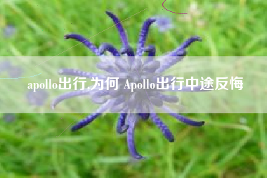 apollo出行,为何 Apollo出行中途反悔