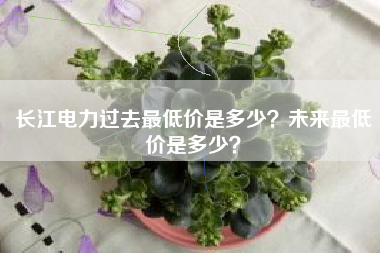 长江电力过去最低价是多少？未来最低价是多少？
