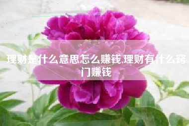 理财是什么意思怎么赚钱,理财有什么窍门赚钱