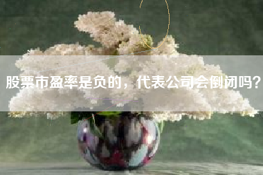 股票市盈率是负的，代表公司会倒闭吗？
