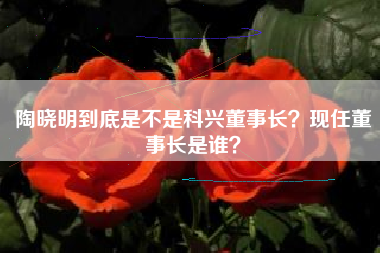 陶晓明到底是不是科兴董事长？现任董事长是谁？