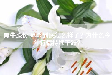 黑牛股份002378到底怎么样了？为什么今年行情持续下跌？