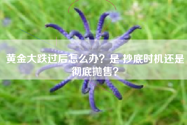 黄金大跌过后怎么办？是 抄底时机还是彻底抛售？