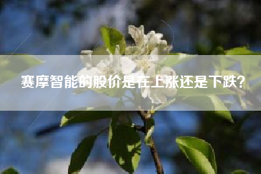 赛摩智能的股价是在上涨还是下跌？