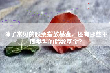 除了常见的股票指数基金，还有哪些不同类型的指数基金？
