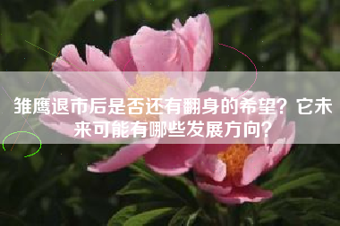 雏鹰退市后是否还有翻身的希望？它未来可能有哪些发展方向？