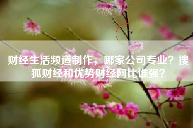 财经生活频道制作，哪家公司专业？搜狐财经和优势财经网比谁强？