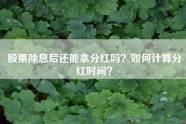 股票除息后还能拿分红吗？如何计算分红时间？