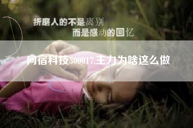 网宿科技300017,主力为啥这么做