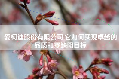 爱柯迪股份有限公司,它如何实现卓越的品质和零缺陷目标