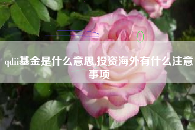 qdii基金是什么意思,投资海外有什么注意事项