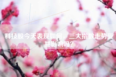 科技股今天表现如何，三大指数走势受其影响吗？