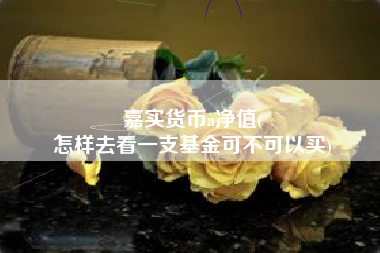 嘉实货币a净值(
怎样去看一支基金可不可以买)