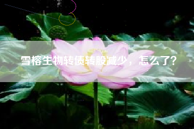 雪榕生物转债转股减少，怎么了？