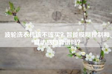 波轮洗衣机该不该买？智能模糊控制和自动感知靠谱吗？