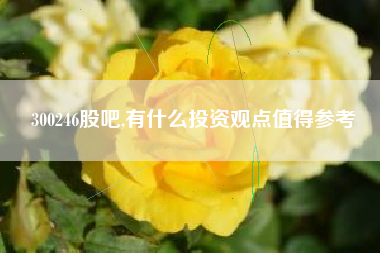 300246股吧,有什么投资观点值得参考