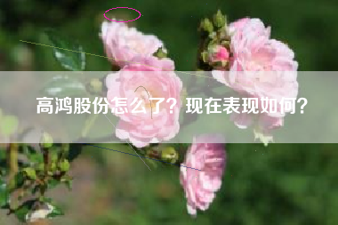 高鸿股份怎么了？现在表现如何？