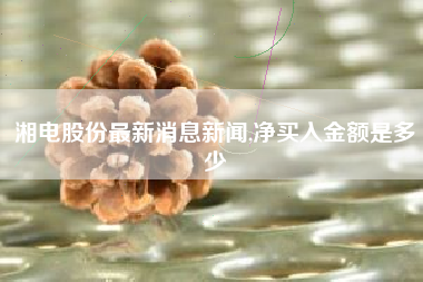 湘电股份最新消息新闻,净买入金额是多少