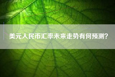 美元人民币汇率未来走势有何预测？