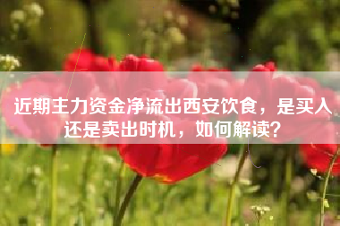 近期主力资金净流出西安饮食，是买入还是卖出时机，如何解读？