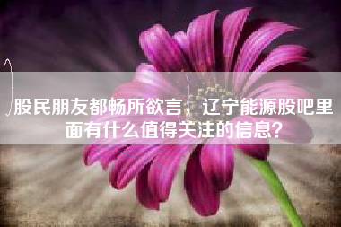 股民朋友都畅所欲言，辽宁能源股吧里面有什么值得关注的信息？
